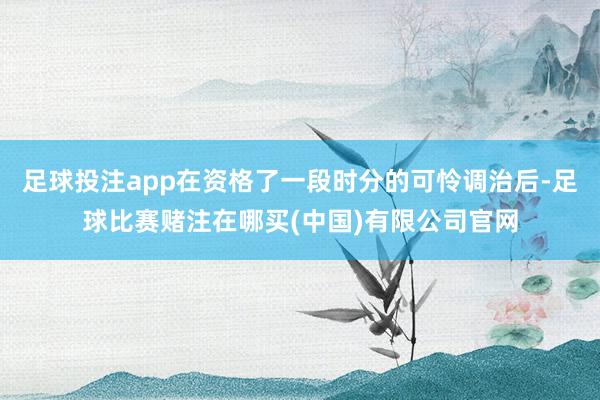 足球投注app在资格了一段时分的可怜调治后-足球比赛赌注在哪买(中国)有限公司官网