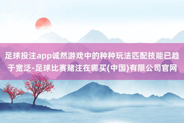 足球投注app诚然游戏中的种种玩法匹配技能已趋于宽泛-足球比赛赌注在哪买(中国)有限公司官网