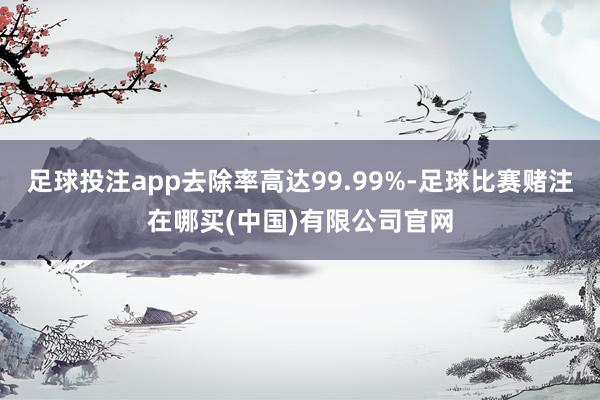 足球投注app去除率高达99.99%-足球比赛赌注在哪买(中国)有限公司官网