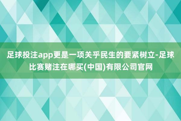 足球投注app更是一项关乎民生的要紧树立-足球比赛赌注在哪买(中国)有限公司官网