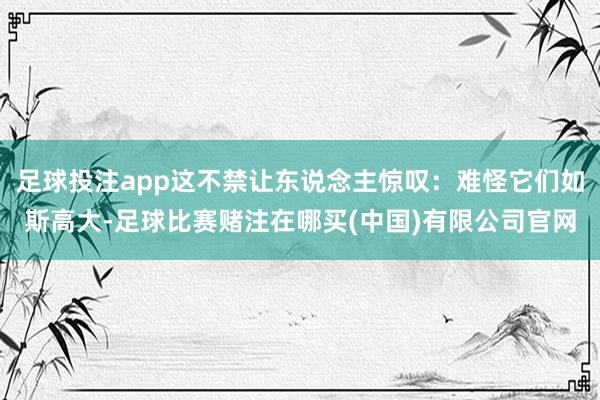 足球投注app这不禁让东说念主惊叹：难怪它们如斯高大-足球比赛赌注在哪买(中国)有限公司官网