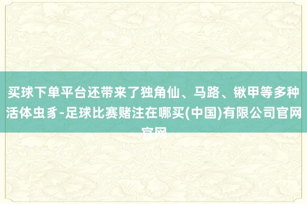 买球下单平台还带来了独角仙、马路、锹甲等多种活体虫豸-足球比赛赌注在哪买(中国)有限公司官网