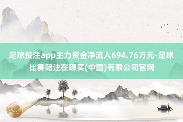 足球投注app主力资金净流入694.76万元-足球比赛赌注在哪买(中国)有限公司官网