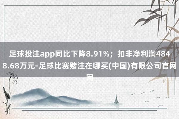 足球投注app同比下降8.91%；扣非净利润4848.68万元-足球比赛赌注在哪买(中国)有限公司官网