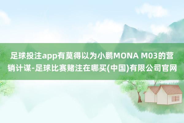 足球投注app有莫得以为小鹏MONA M03的营销计谋-足球比赛赌注在哪买(中国)有限公司官网