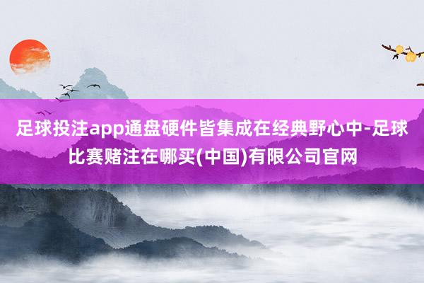 足球投注app通盘硬件皆集成在经典野心中-足球比赛赌注在哪买(中国)有限公司官网