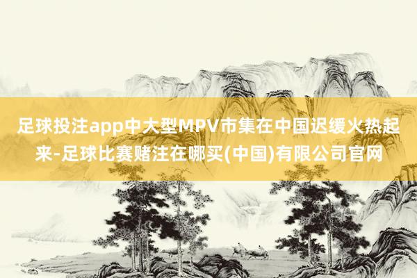 足球投注app中大型MPV市集在中国迟缓火热起来-足球比赛赌注在哪买(中国)有限公司官网