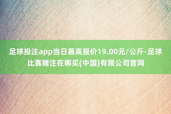 足球投注app当日最高报价19.00元/公斤-足球比赛赌注在哪买(中国)有限公司官网