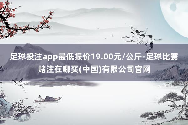 足球投注app最低报价19.00元/公斤-足球比赛赌注在哪买(中国)有限公司官网