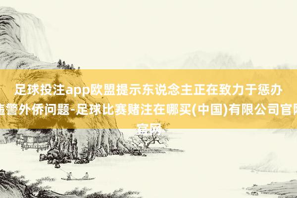 足球投注app　　欧盟提示东说念主正在致力于惩办违警外侨问题-足球比赛赌注在哪买(中国)有限公司官网