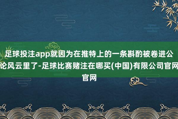 足球投注app就因为在推特上的一条斟酌被卷进公论风云里了-足球比赛赌注在哪买(中国)有限公司官网