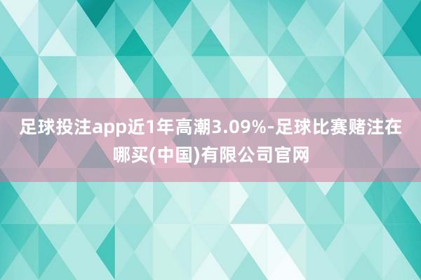 足球投注app近1年高潮3.09%-足球比赛赌注在哪买(中国)有限公司官网