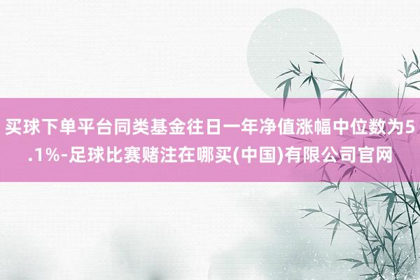 买球下单平台同类基金往日一年净值涨幅中位数为5.1%-足球比赛赌注在哪买(中国)有限公司官网