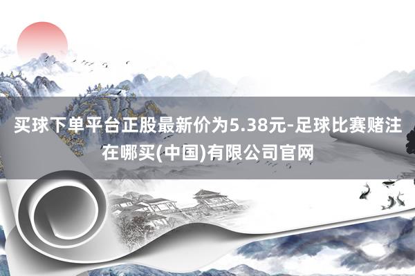 买球下单平台正股最新价为5.38元-足球比赛赌注在哪买(中国)有限公司官网