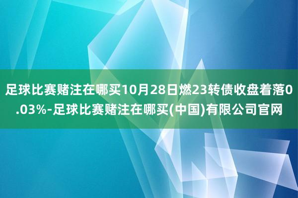 足球比赛赌注在哪买10月28日燃23转债收盘着落0.03%-足球比赛赌注在哪买(中国)有限公司官网