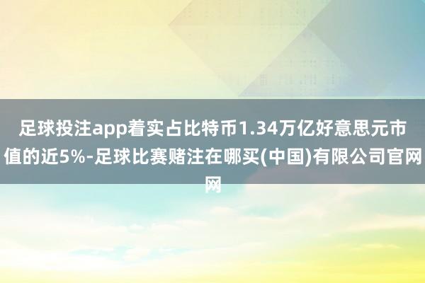 足球投注app着实占比特币1.34万亿好意思元市值的近5%-足球比赛赌注在哪买(中国)有限公司官网