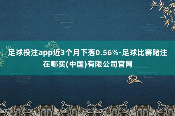 足球投注app近3个月下落0.56%-足球比赛赌注在哪买(中国)有限公司官网