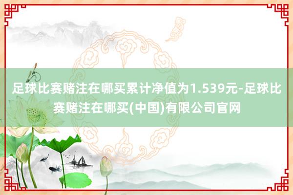 足球比赛赌注在哪买累计净值为1.539元-足球比赛赌注在哪买(中国)有限公司官网