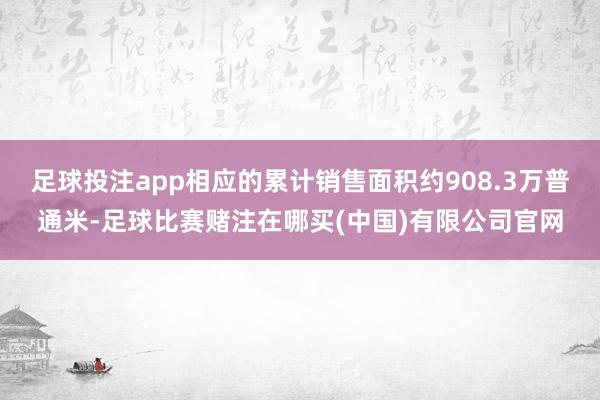 足球投注app相应的累计销售面积约908.3万普通米-足球比赛赌注在哪买(中国)有限公司官网